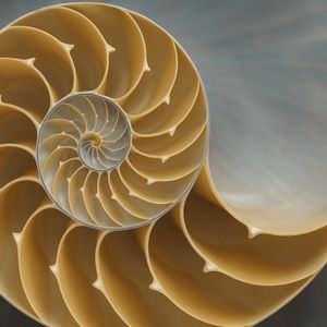 Fibonacci Retracement: A Trader’s Compass in the Bitcoin Market
