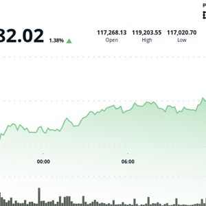 Bitcoin Breaks $119K, While XLM and HBAR Lead Altcoin Rally